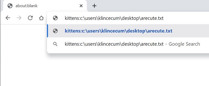 KittensUrlEntered