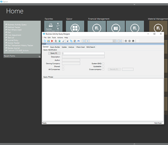 Epicor Application Window View