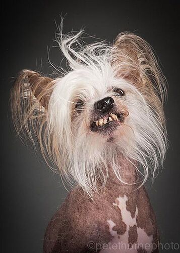 8262934b70f848f20215344b7aba6b18