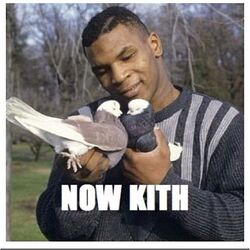 28261e42661d387cccbb14de8a70579d