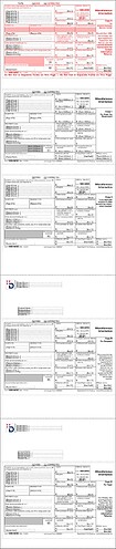 Form1099-RDL-Template-Example