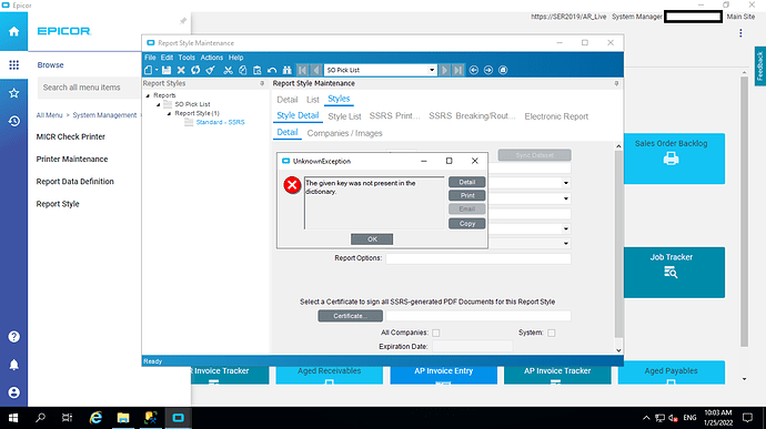 Epicor_Report_Style_Error
