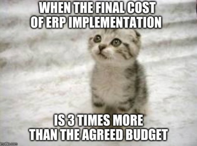 Common mistakes of ERP implementation - Google Docs