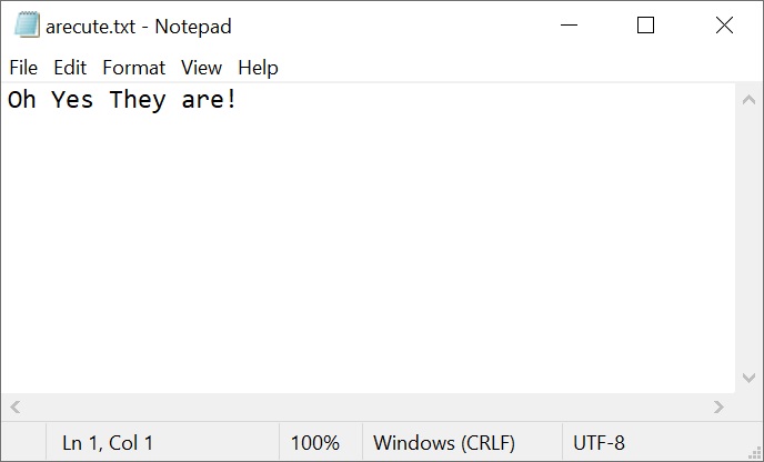 KittensNotepad