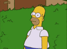 the-s-impsons-bush